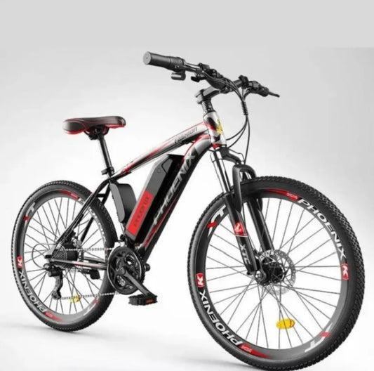 Phoenix X1 Electric Mountain Bike